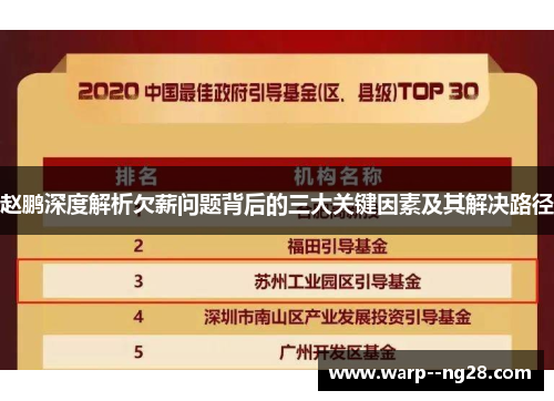 赵鹏深度解析欠薪问题背后的三大关键因素及其解决路径