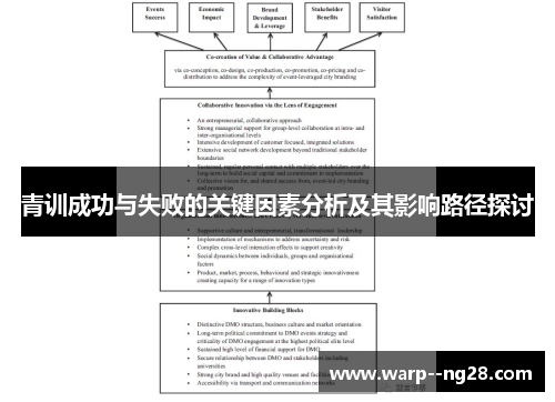 青训成功与失败的关键因素分析及其影响路径探讨