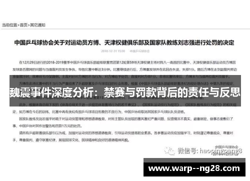 魏震事件深度分析：禁赛与罚款背后的责任与反思