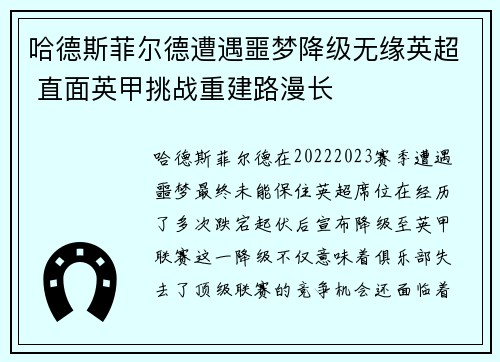 哈德斯菲尔德遭遇噩梦降级无缘英超 直面英甲挑战重建路漫长