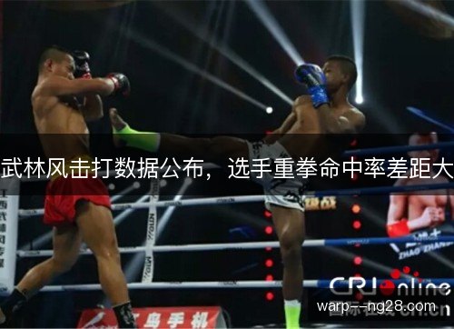 武林风击打数据公布，选手重拳命中率差距大
